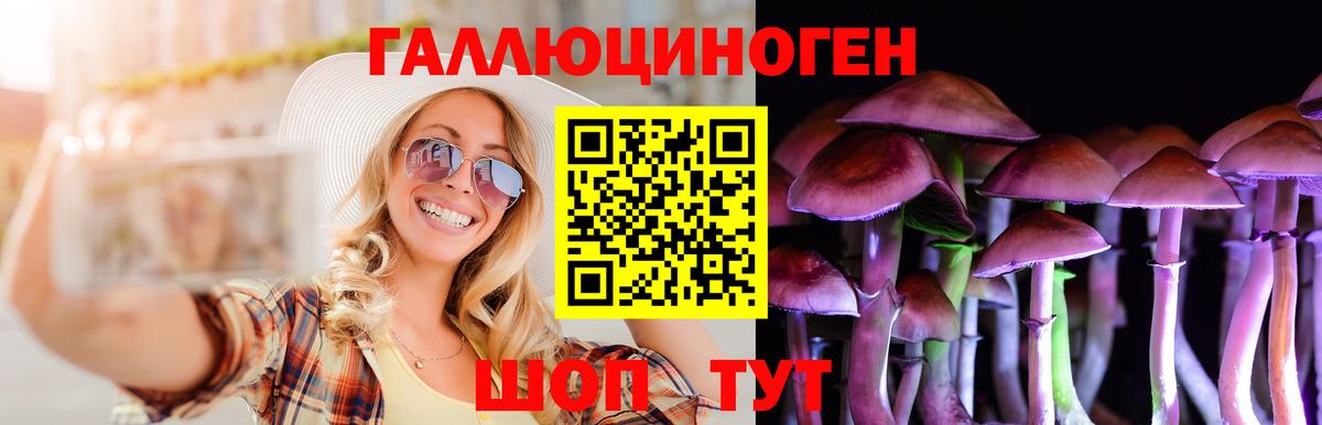 Советский  Псилоцибиновые грибы прущие грибы  Вход с VPN 