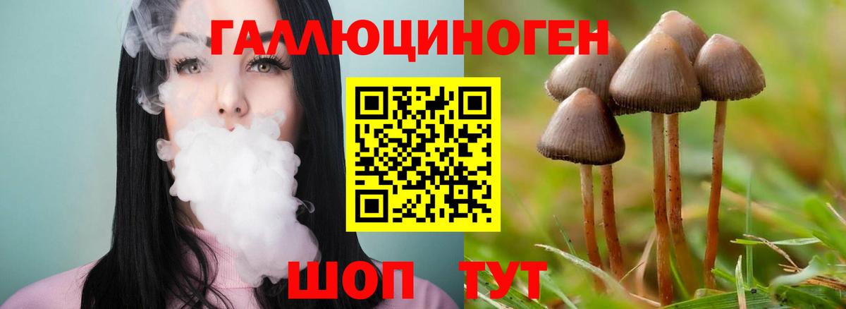 Галлюциногенные грибы прущие грибы Советский